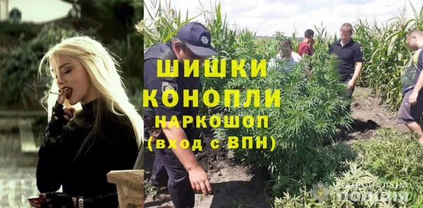 сатива Магадан